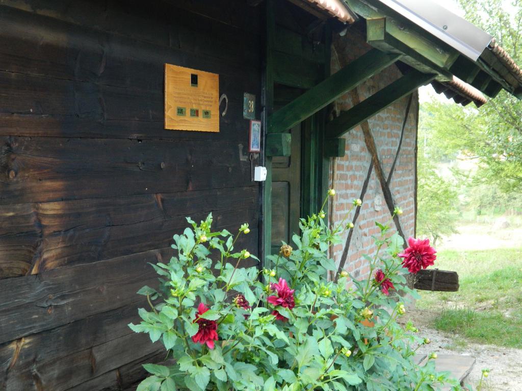 Užice Chalet Belino Sokace מראה חיצוני תמונה