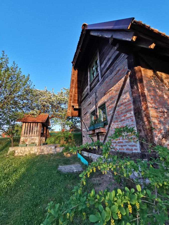 Užice Chalet Belino Sokace מראה חיצוני תמונה