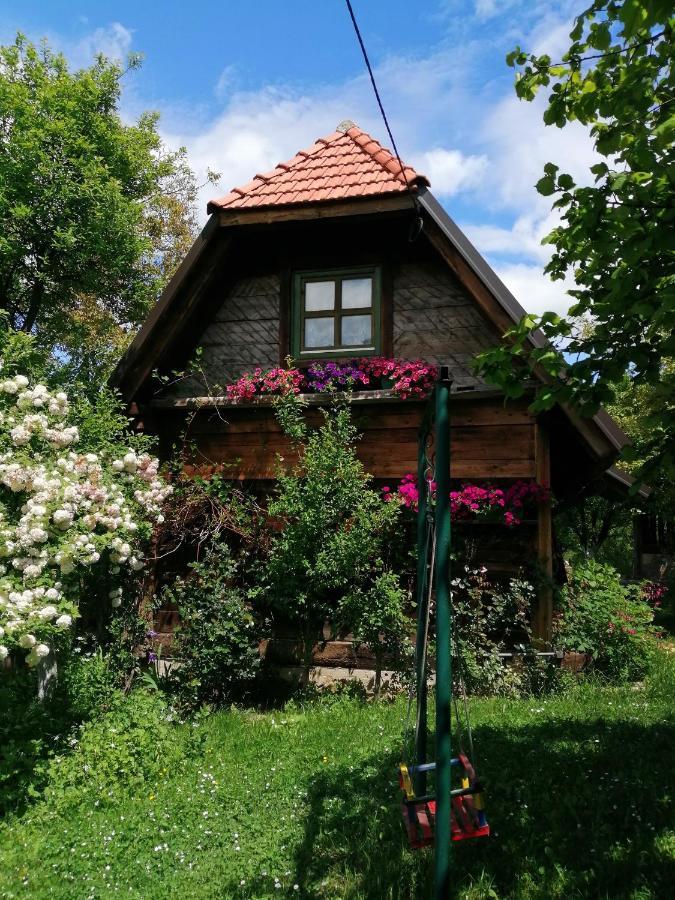 Užice Chalet Belino Sokace מראה חיצוני תמונה